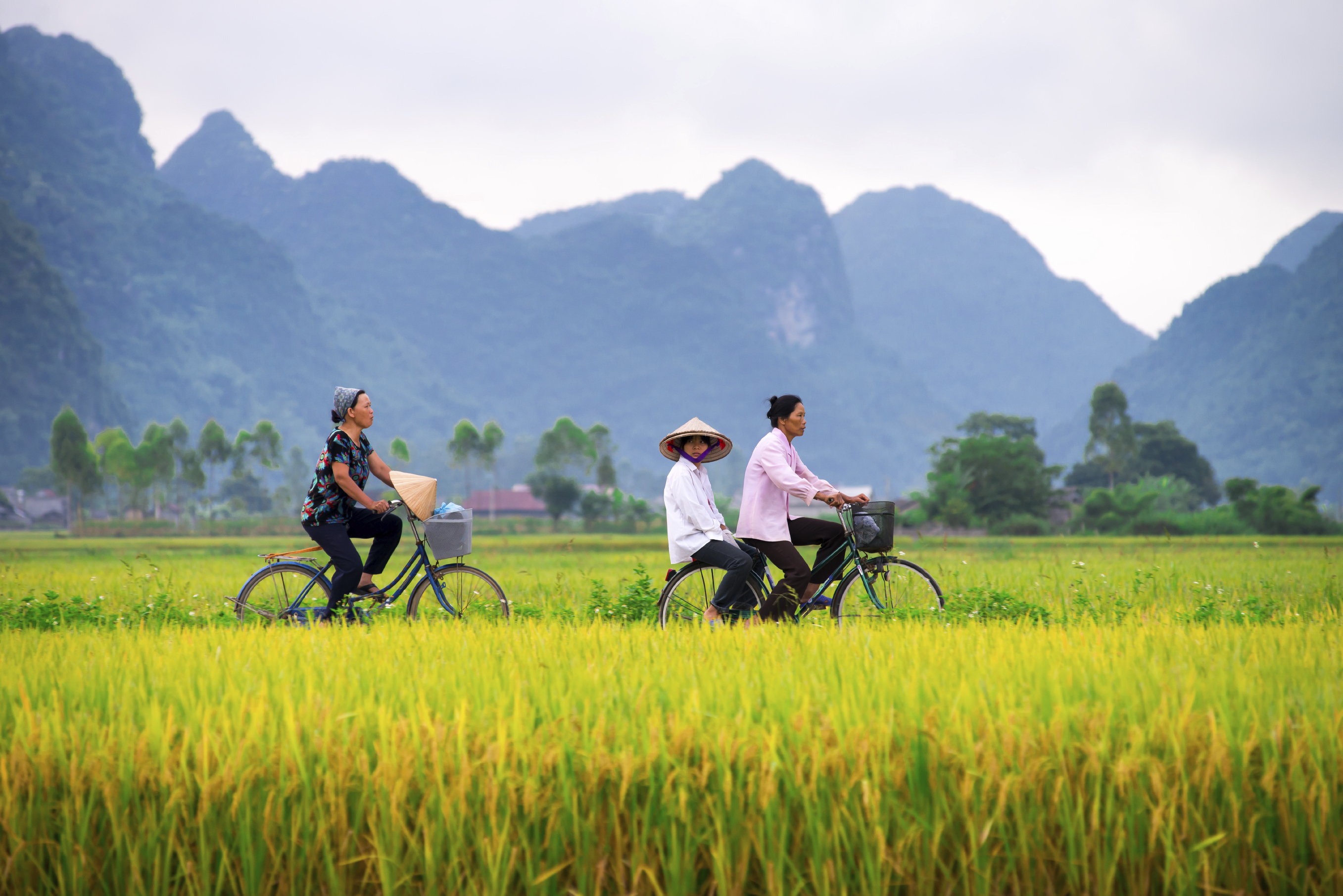Bicycle trip in Vietnam