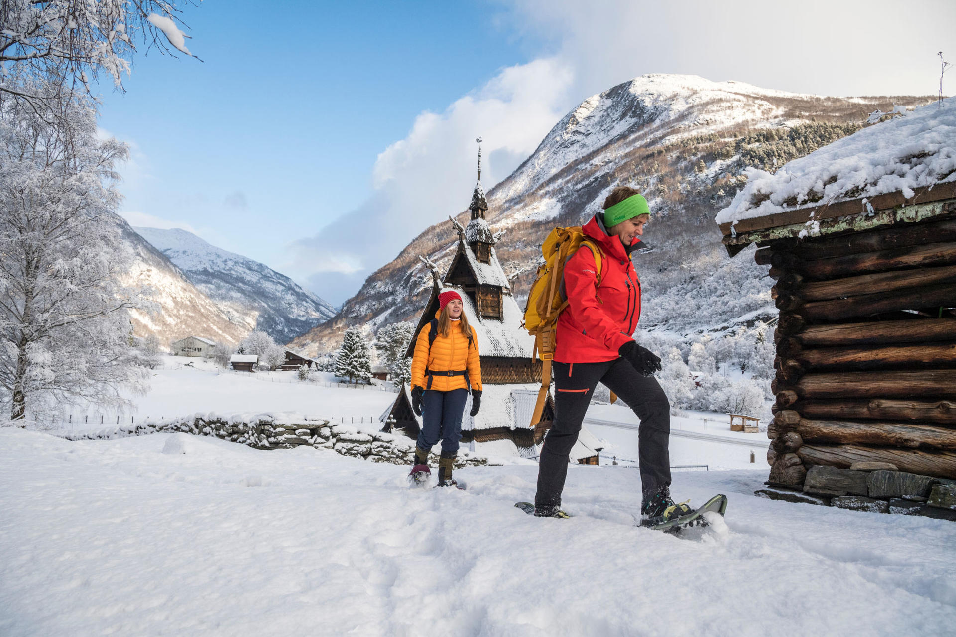Snowshoeing and Dogsledding Jotunheimen(1)