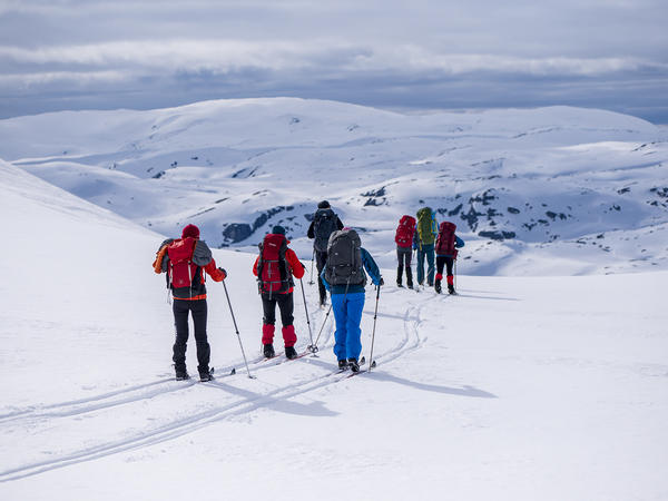 Spring Ski Trip from Finse to Hardanger