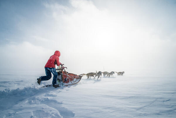 Dogsledding in the Norwegian Mountains