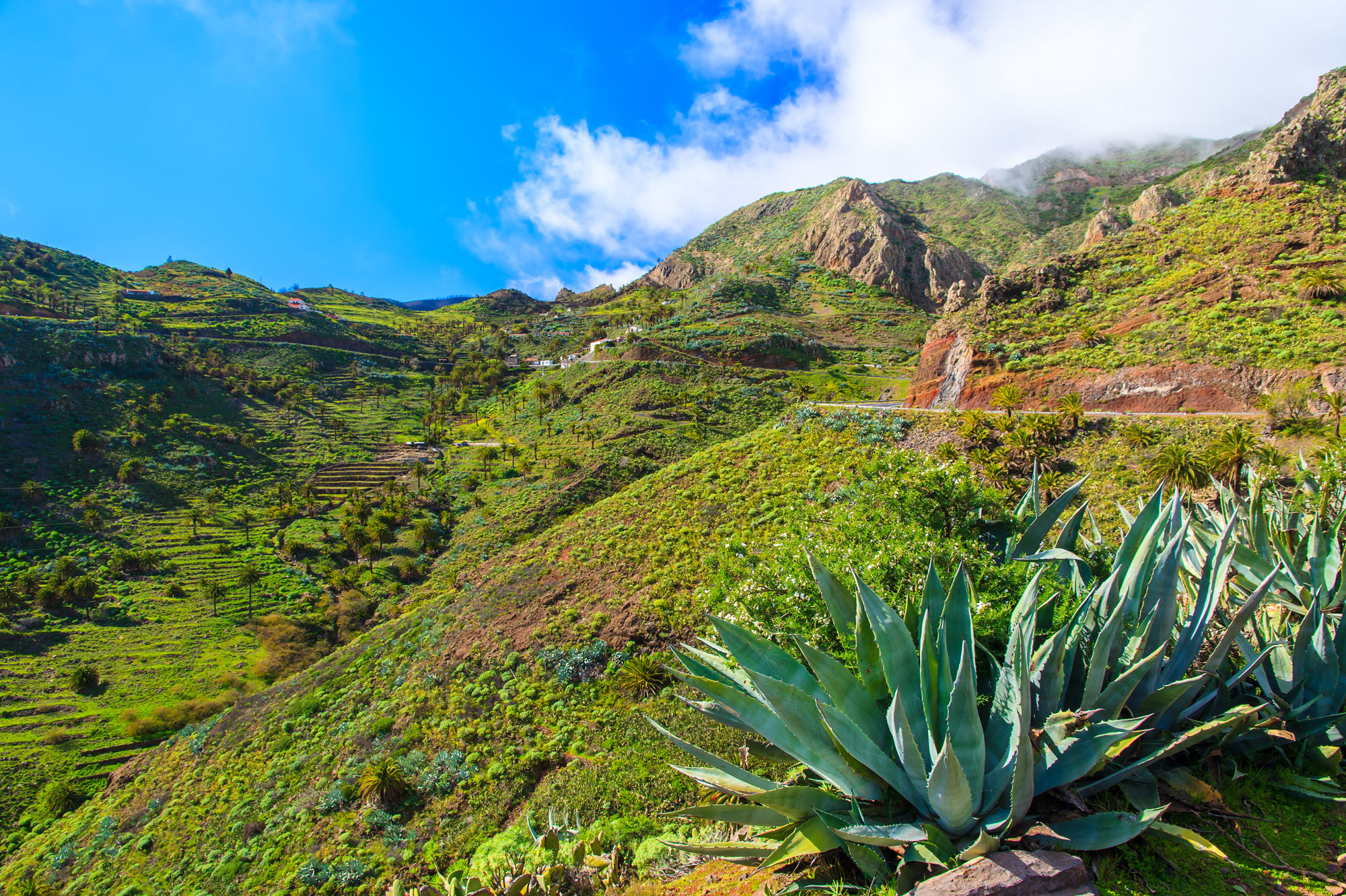 Mountains and green valley on La Gomera island, Spain
