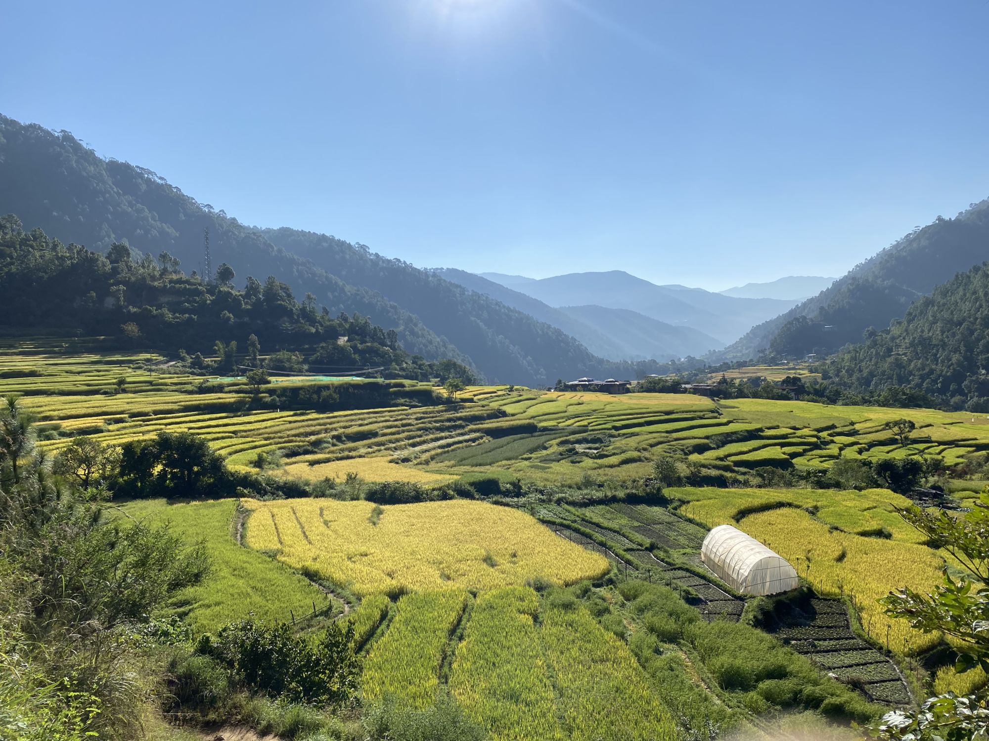 Bhutan-2022@IngerHilløySolheim (6)
