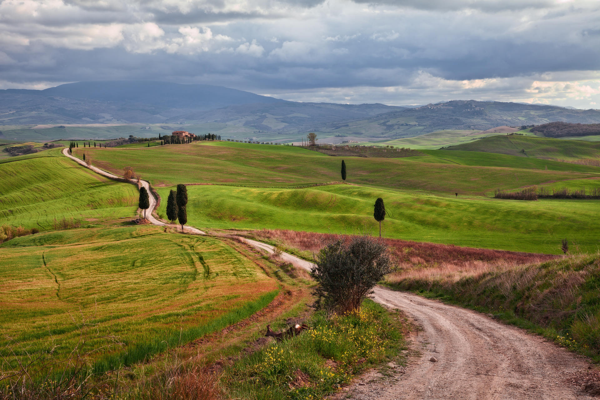 Pienza, Siena, Tuscany, Italy: landscape of the hills where the
